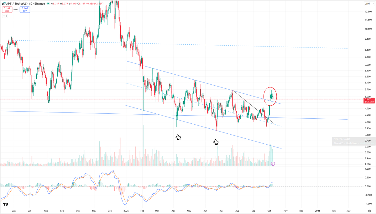 Trader Zach | 小扎 tweet media