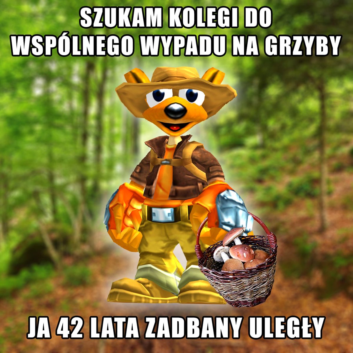 Kangurek Kao Pej tweet media