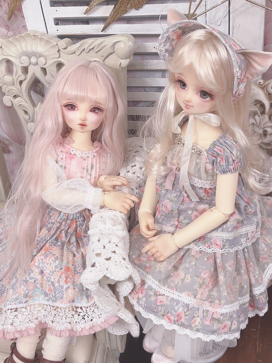 撮影の合間になんとなくうちの子と並べた図、かわいい