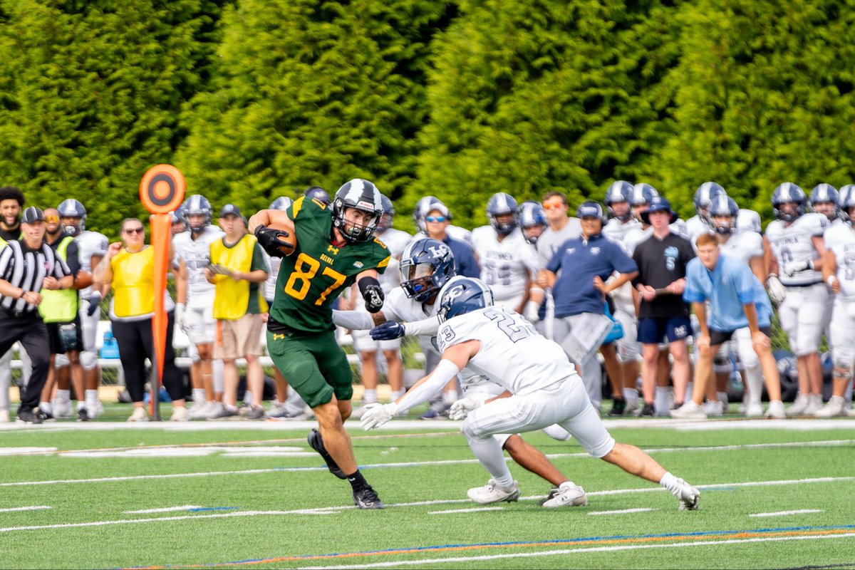 Delaware Valley University Football tweet media