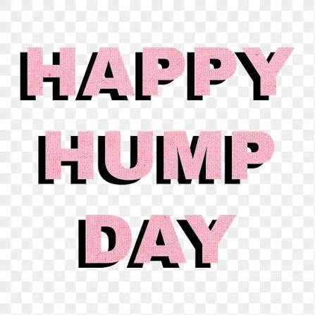 raiderdodgerken's tweet image. @BrookeLewisLA My #WCW #HappyHumpDay have an awesome day gorgeous! 😍❤️🌹