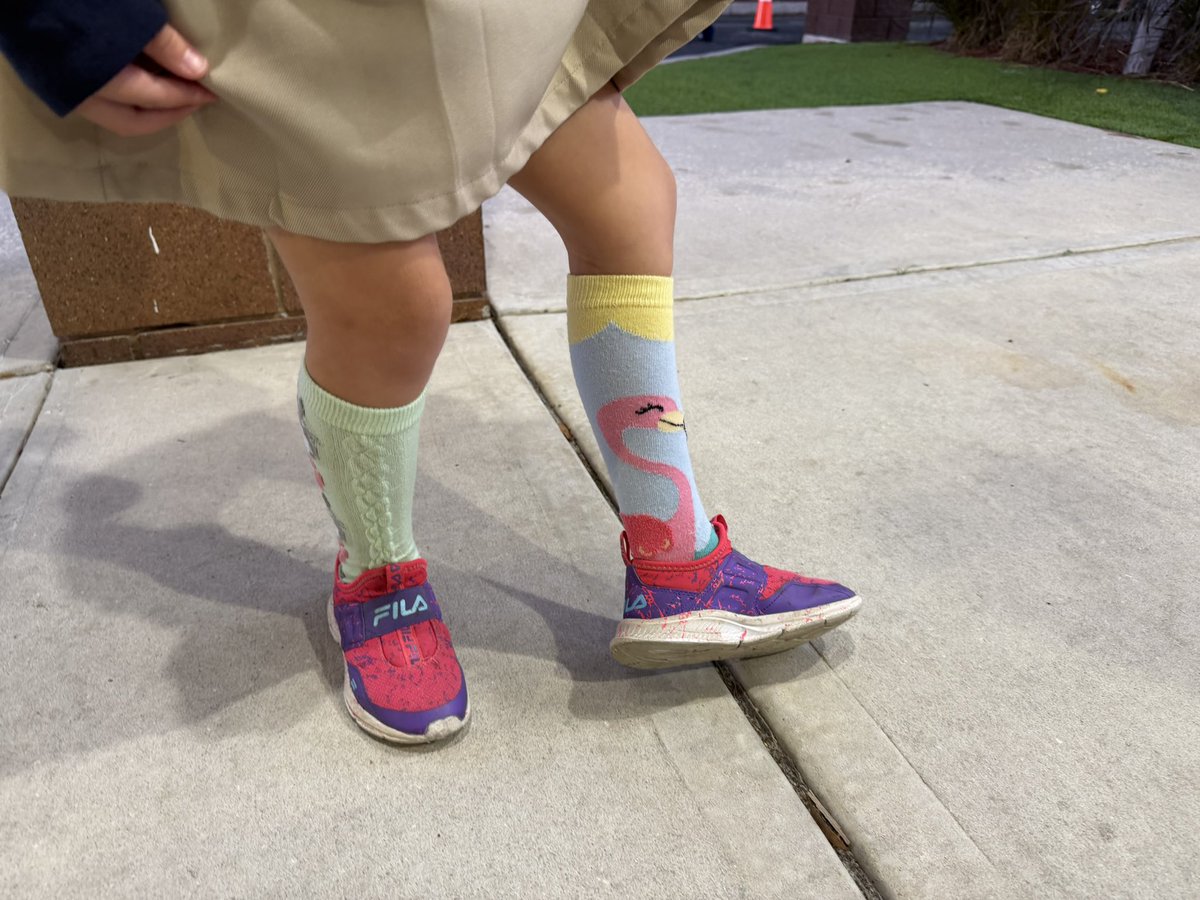 Maniscalco tweet media