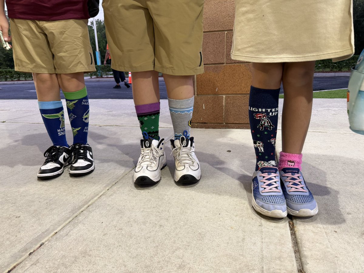 Maniscalco tweet media