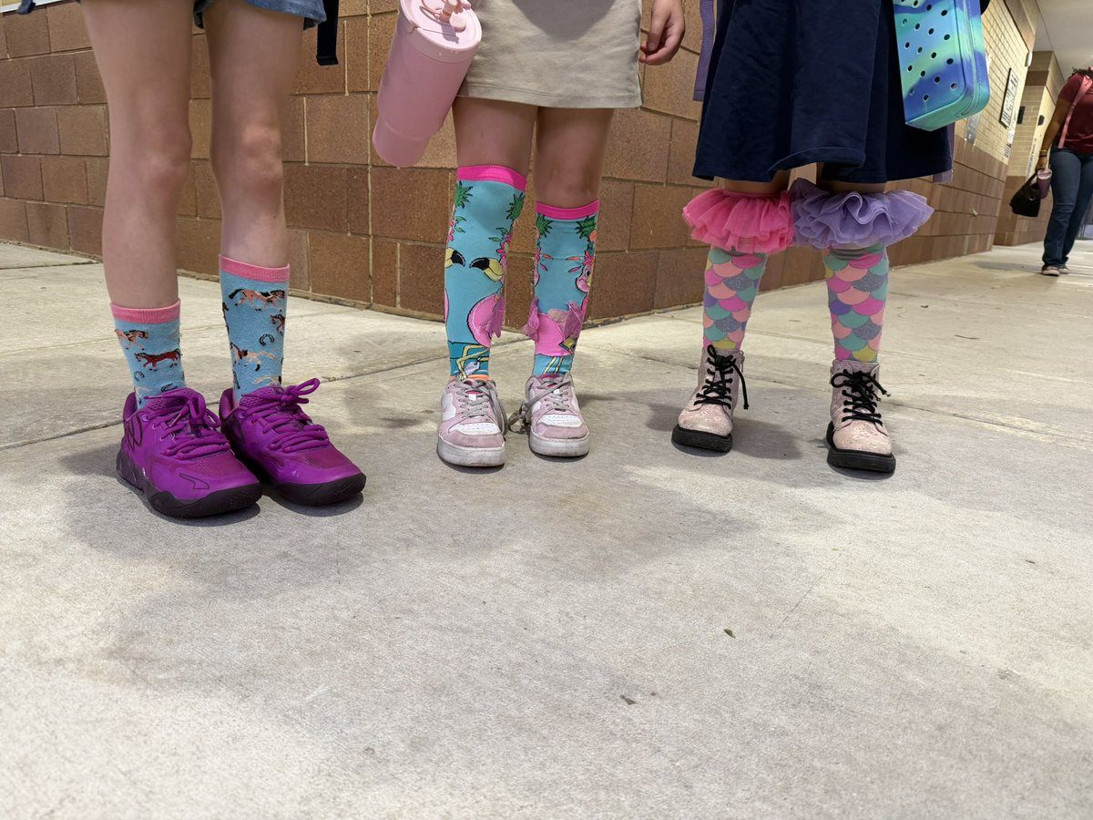 Maniscalco tweet media