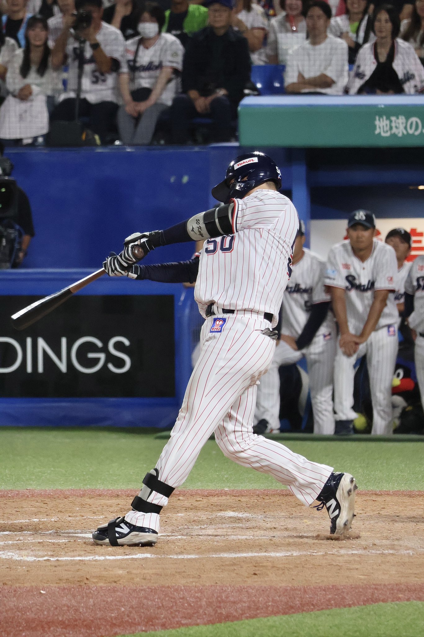 NPB バット 東京ヤクルトスワローズ#50 北村恵吾 マーク ヤクルト 野球