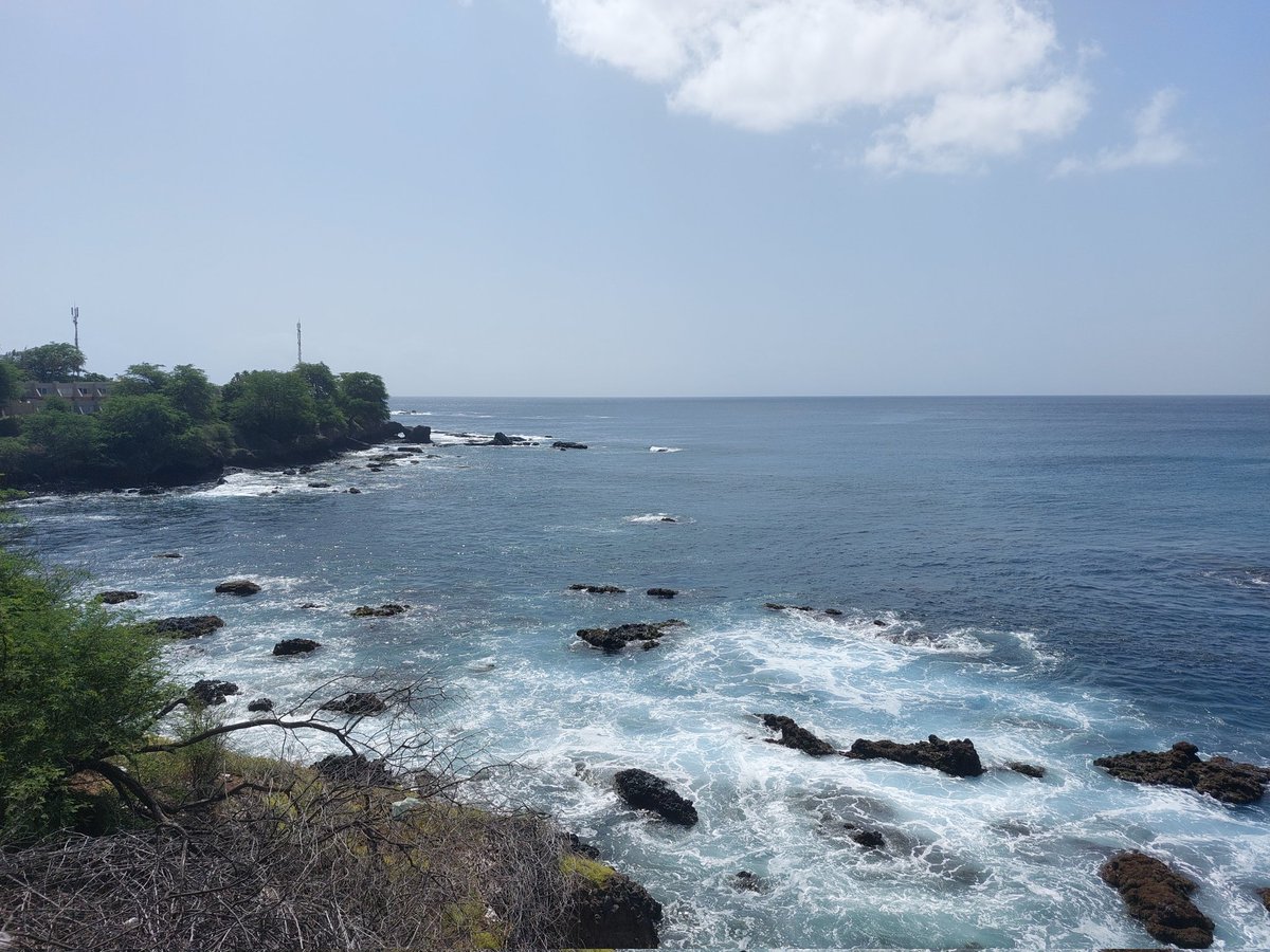 Alex Čizmić tweet media