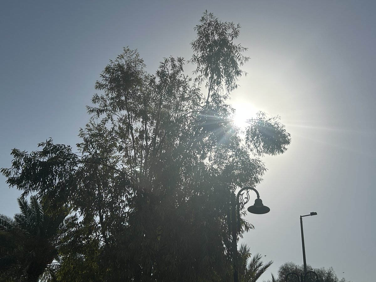 outthismind's tweet image. (๑&amp;gt;؂•̀๑)