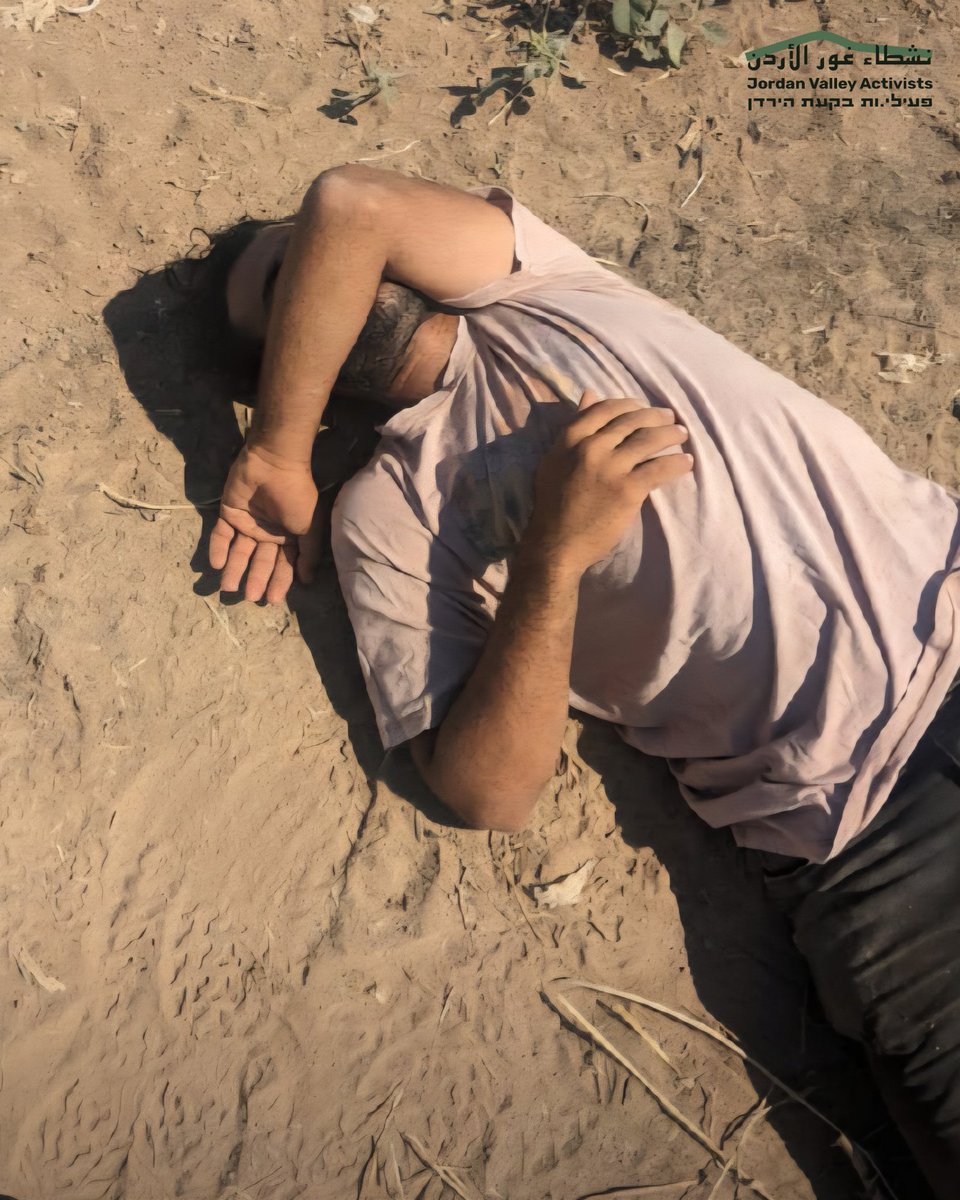 הבוקר, בשדות הפלסטינים מדר' למחולה, 3 מתנחלים רעולי פנים ירדו מכיוון שדמות מחולה ותקפו רועה פלסטיני. הם ריססו את עיניו בגז פלפל, וכשלא ראה כלום הרביצו לו עם מקלות וגנבו לו את הטלפון. חבריו הוציאו אותו משם ולקחוהו לכיוון הדרך החקלאית שליד מחולה, שם הוא התמוטט מהכאב והלחץ.