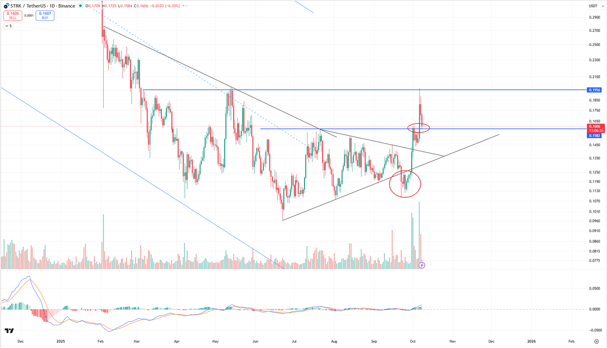 Trader Zach | 小扎 tweet media