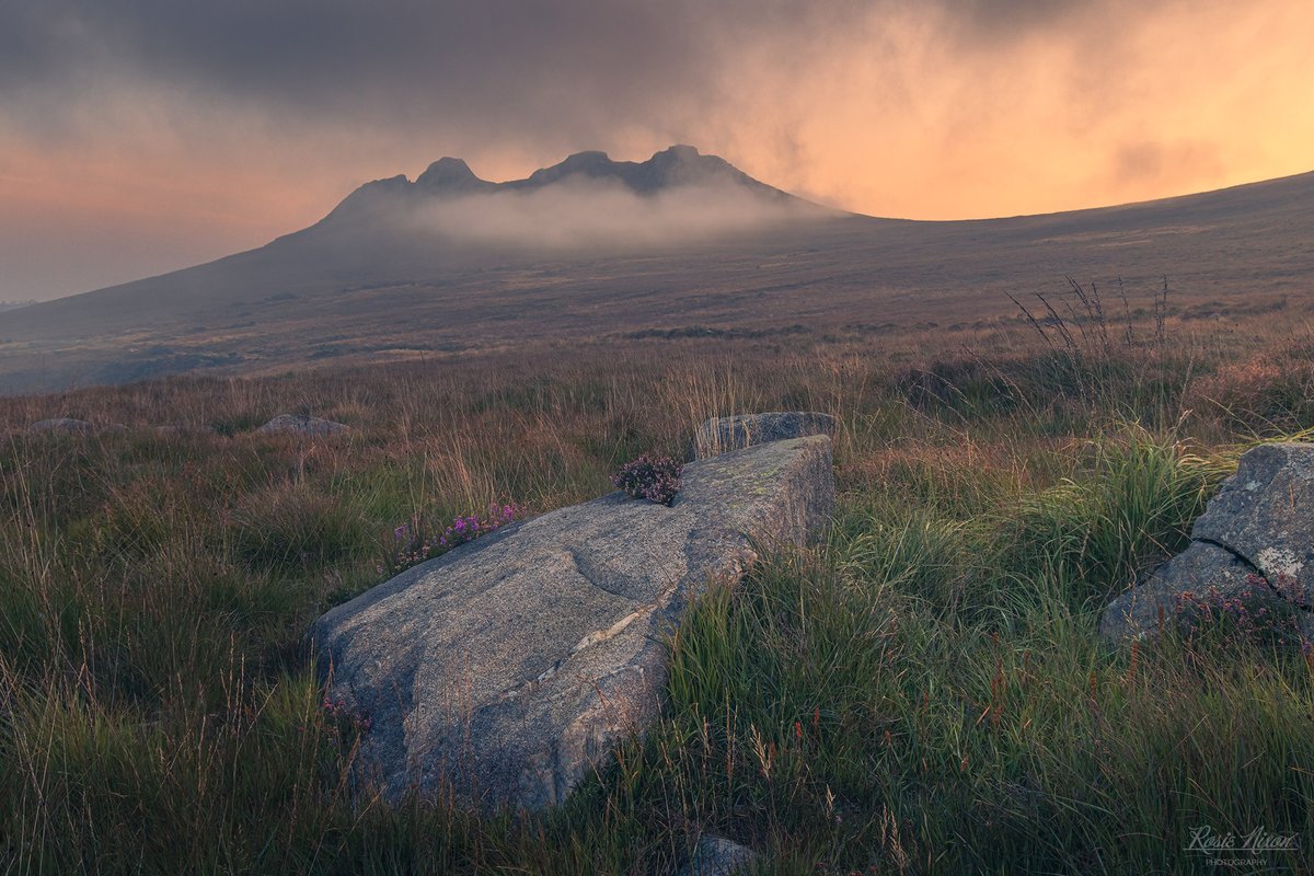 A pre-dawn glow rises behind Hen Mountain, outlining its rugged tors as fog clings just below the summit. While in the foreground, small heather plants with their vibrant purple blooms thrive against the odds in the weathered rock crevices. #photography #Ireland #MourneMountains