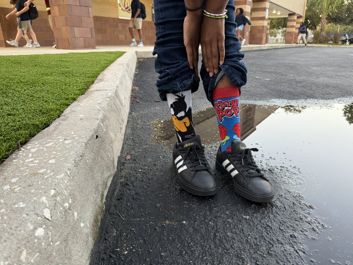 Maniscalco tweet media