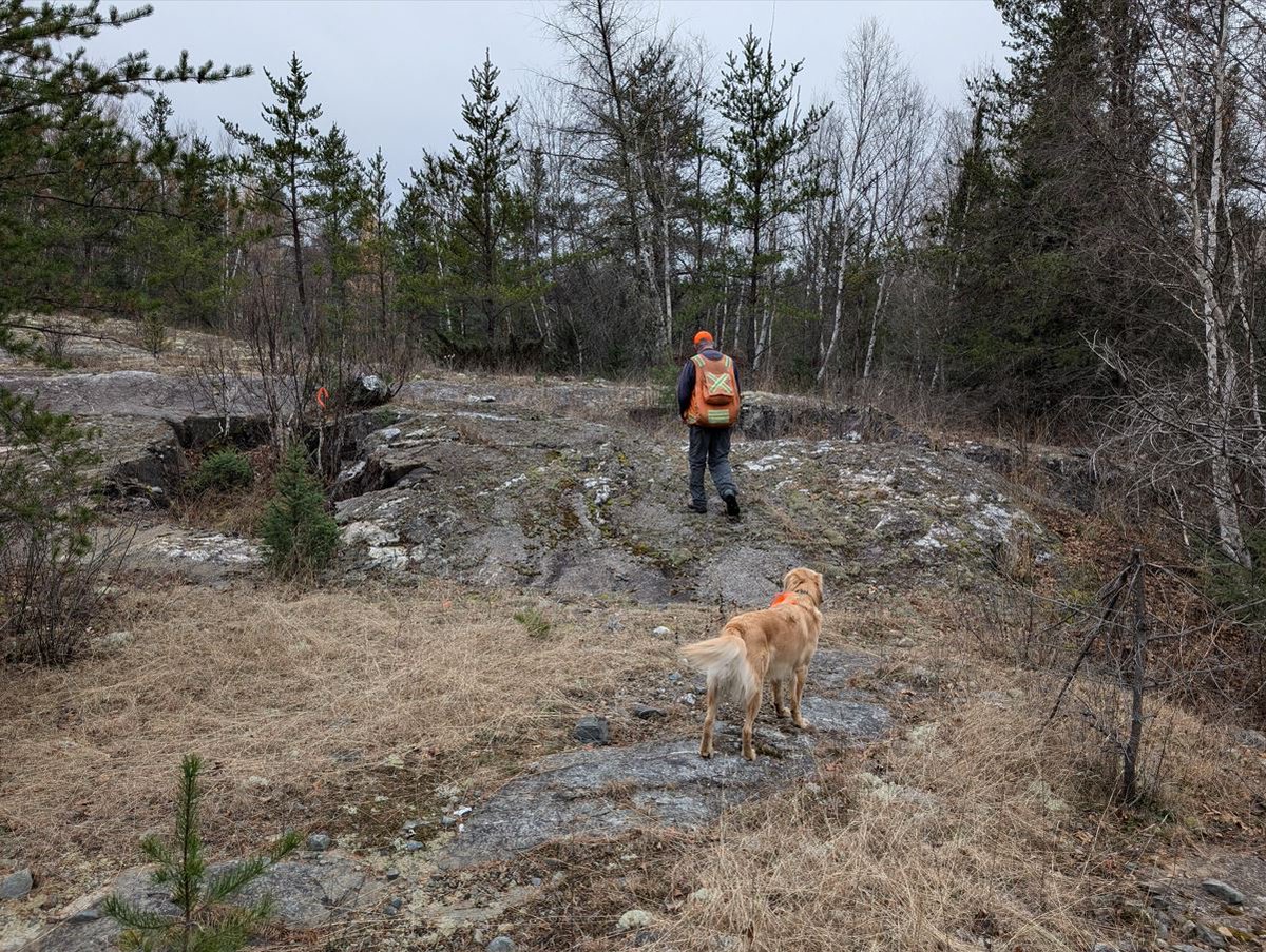 ResourceWorld's tweet image. Bold Ventures Discovers New Style of Mineralization on Its Wilcorp Property - resourceworld.com/bold-ventures-… #ResourceWorld #resourceinvesting #miningnews #mining