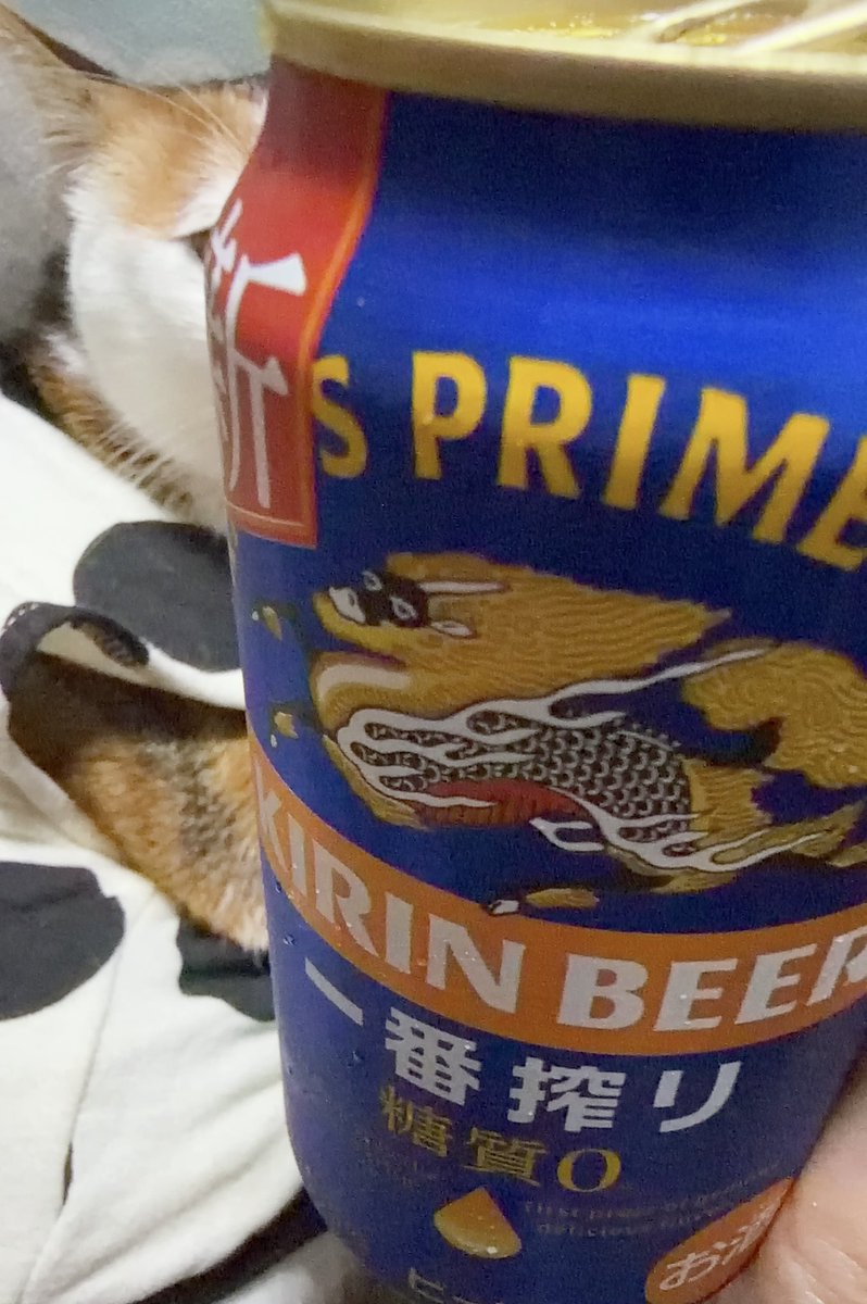 ilovepurinhk's tweet image. 健太くん乾杯🍻😆
配信もインスタライブもありがとうございます！
めっちゃ楽しかたですねー🥰
ℋᵅᵖᵖᵞℬⁱʳᵗᑋᵈᵃᵞ◡̈*❤︎

#猪塚健太
#猪塚健太誕生祭2025
@PORTGAS_D_KENTA