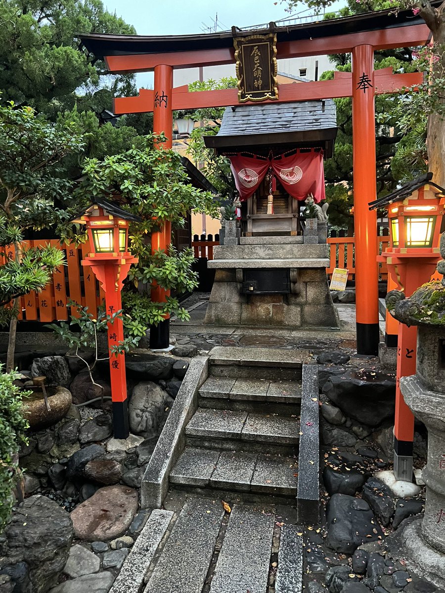 peter grzybowicz tweet media