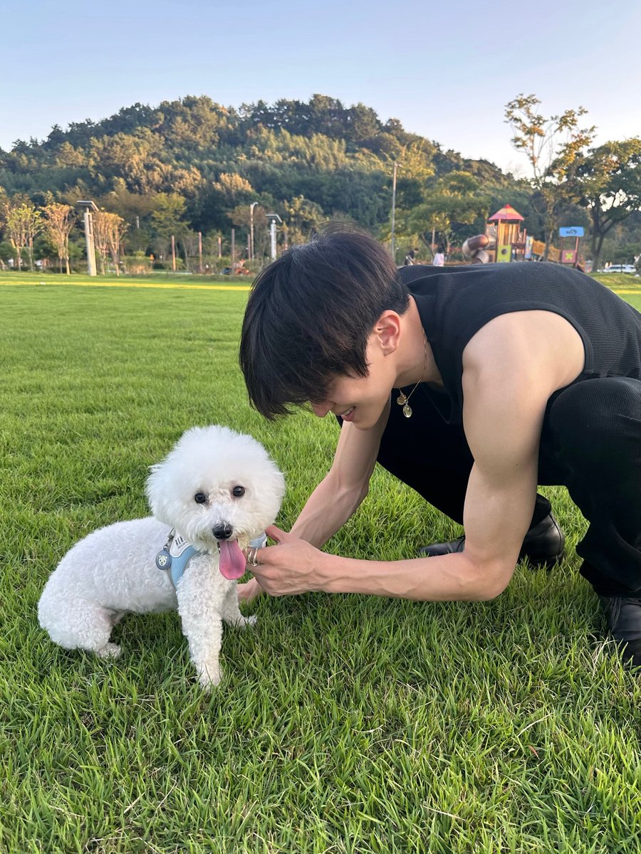 순간의 오시온 tweet media