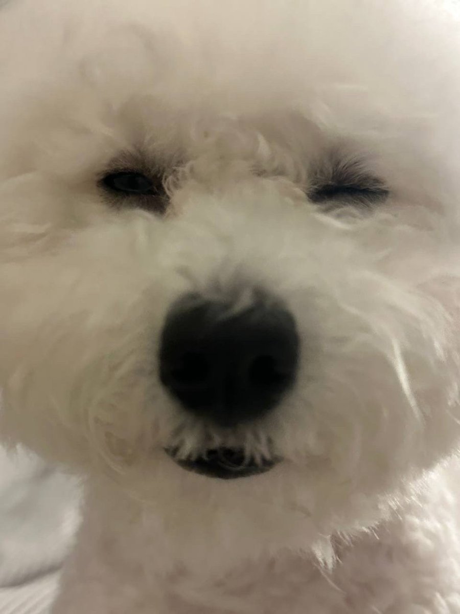 순간의 오시온 tweet media