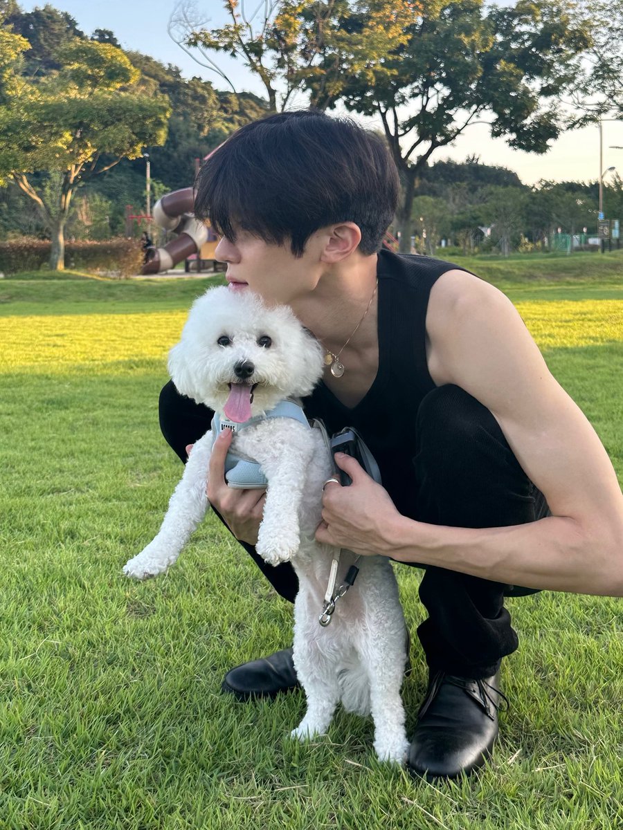 순간의 오시온 tweet media