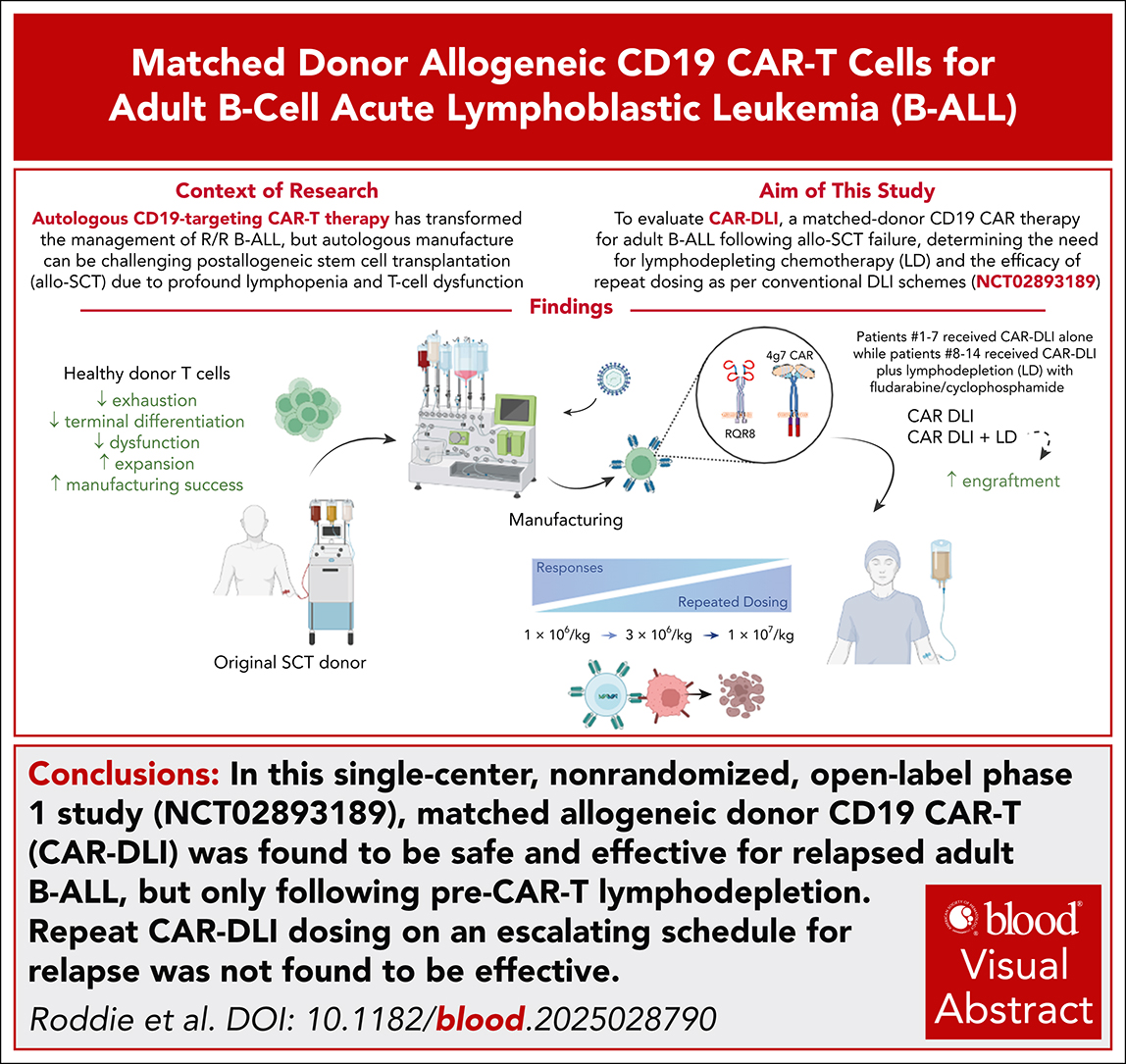 Matched allogeneic donor CD19 CAR-T therapy (CAR-DLI) is safe and effective for relapsed adult B-ALL but only after lymphodepletion. ow.ly/ukCQ50X6sqL #clinicaltrialsandobservations #immunobiologyandimmunotherapy #lymphoidneoplasia