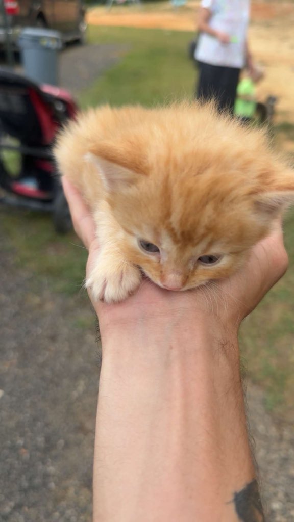 _spectrr's tweet image. Does he know he exists?