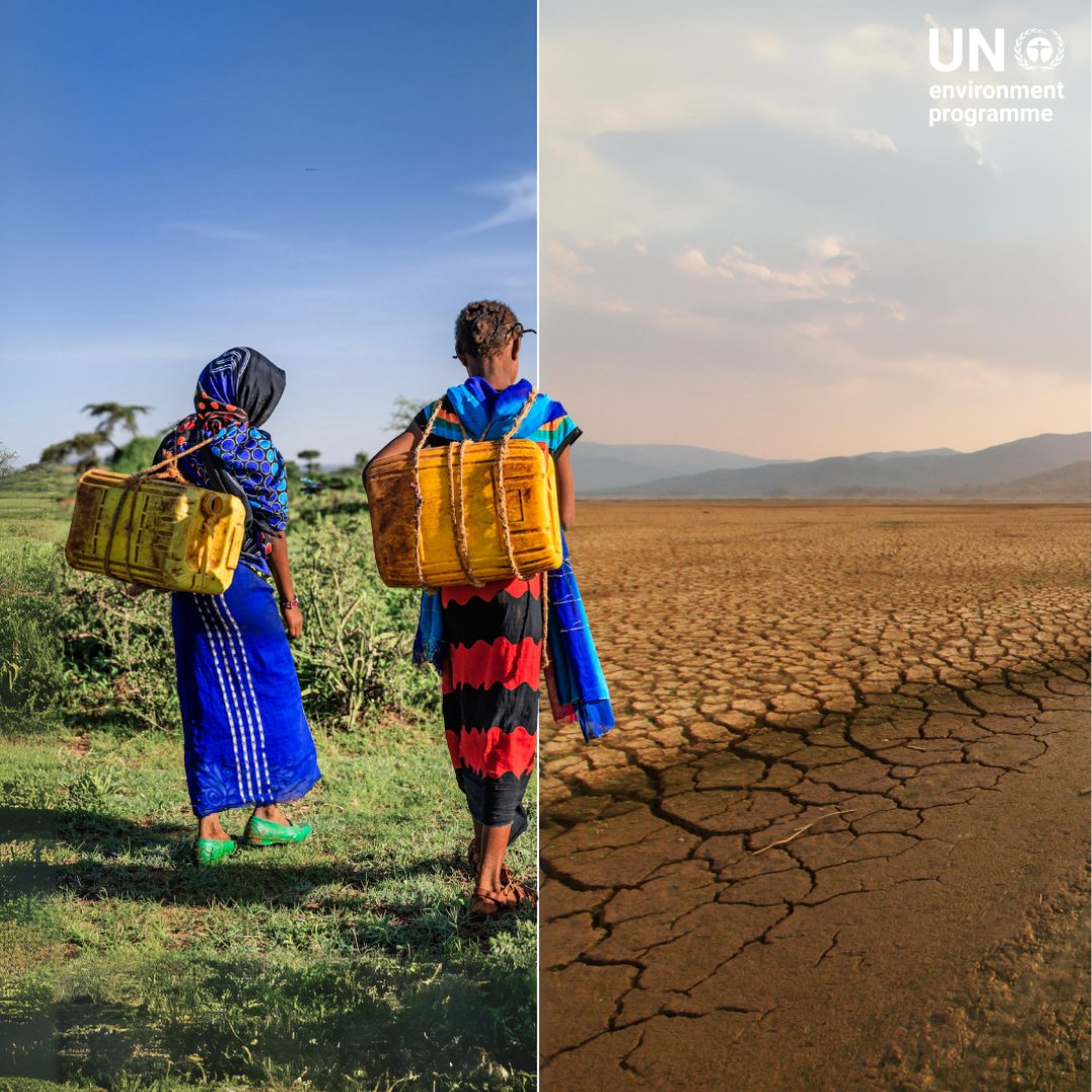 Desertification and drought threaten lives and livelihoods across the planet. Globally, 2.2 billion people lack access to safe water at home.

Urgent and meaningful #ClimateAction is needed to create a sustainable future for generations to come: ow.ly/Io4E50X8kYG
