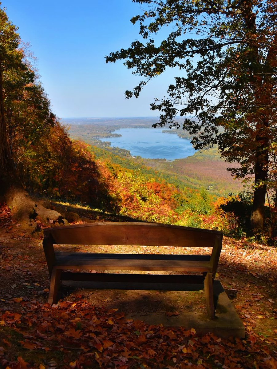 Meanwhile in the Finger Lakes 🐿️🍁🥰 #fingerlakes 📷: Stephanie B #flx #thisisroc #rochesterny #roc