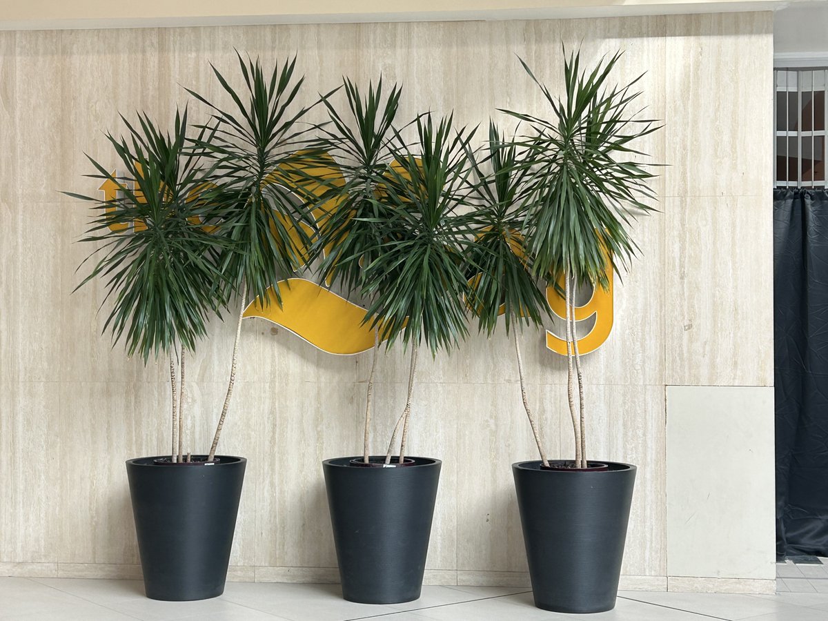 Mic Mac Mall wants you to forget about The Bay. 😂