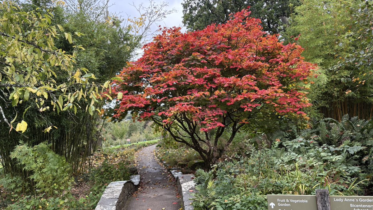 RHS Garden Rosemoor

Loverly day for it.