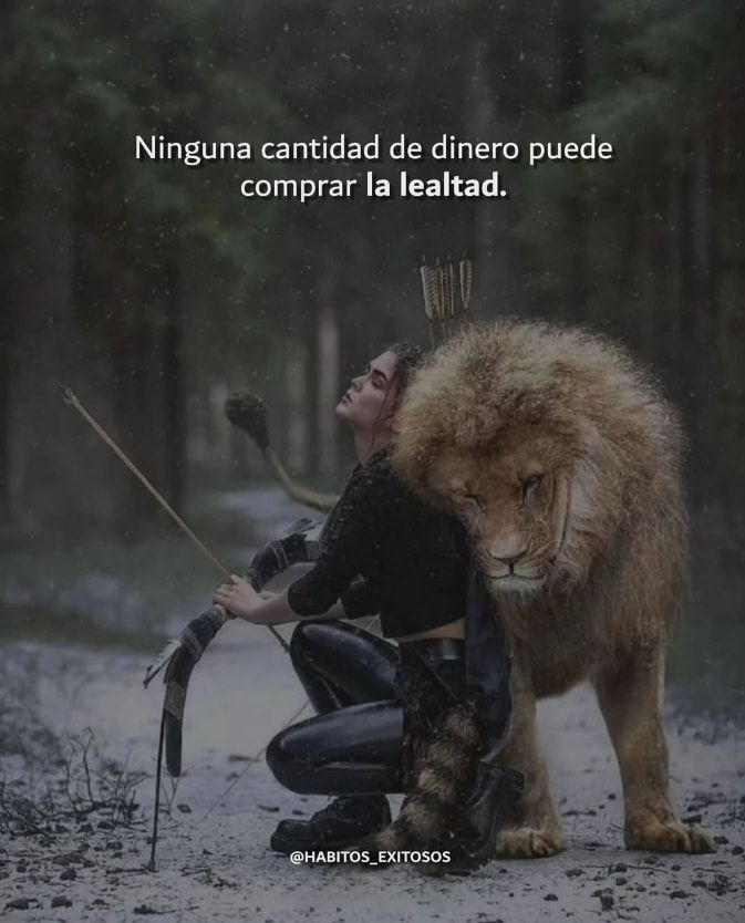 honordetigre's tweet photo. https://t.co/0z9gsuC5aP