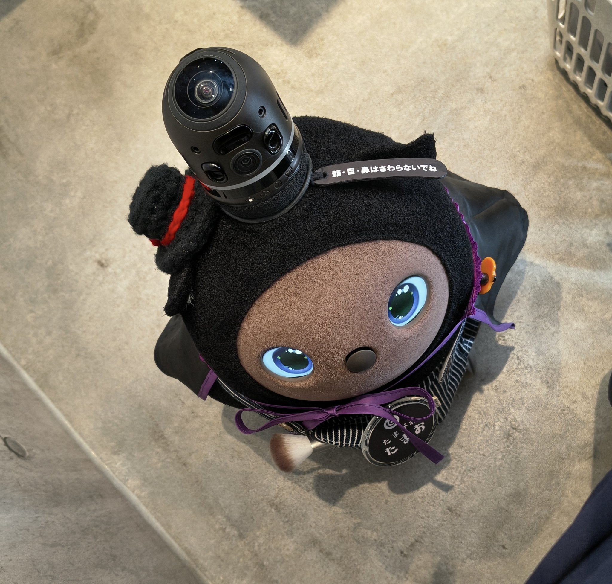 ぴーちゃん (@hashirupeachan) / X