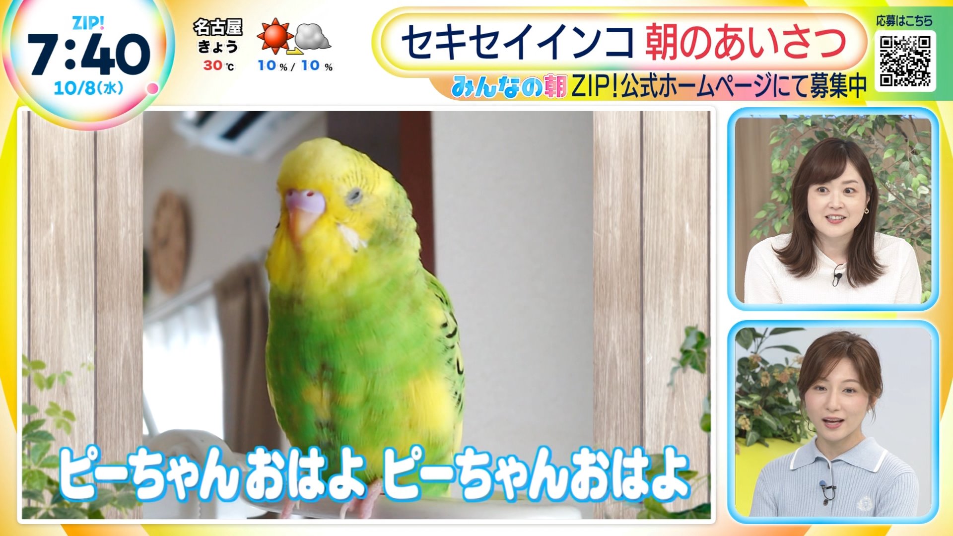 마나様 ご相談ページ 夜の4コマ部屋】木下んちの今② / サチコと神ねこ様 第2273回