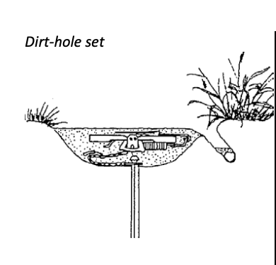 TPCMag's tweet photo. Word Wednesday
Word: Dirthole Set
Definition: One of the most popular predator sets—made with a small hole angled into the ground, baited to mimic a buried meal.
Great for: Fox and coyote.
Do you prefer a standard dirthole or step-down variation?
#WordWednesday #TrappingTerms https://t.co/3j4bdgOQ7a