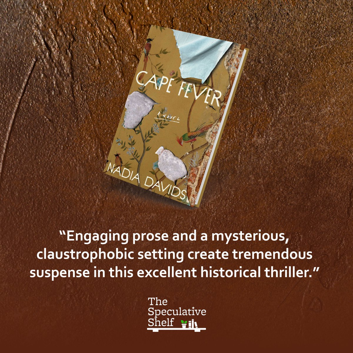 The Speculative Shelf (@specshelf) on Twitter photo Review: Cape Fever (December 2025) by Nadia Davids via <a href="/SimonBooks/">Simon & Schuster</a> 🖼️ "Engaging prose and a mysterious, claustrophobic setting create tremendous suspense in this excellent historical thriller." 🏚️ speculativeshelf.com/2025/10/07/rev… Review: Cape Fever (December 2025) by Nadia Davids via <a href="/SimonBooks/">Simon & Schuster</a> 🖼️ "Engaging prose and a mysterious, claustrophobic setting create tremendous suspense in this excellent historical thriller." 🏚️ speculativeshelf.com/2025/10/07/rev…