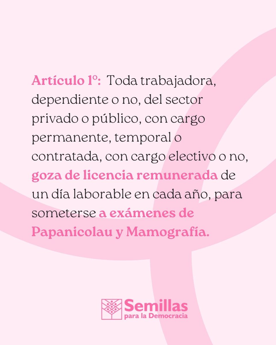 Semillas para la Democracia tweet media