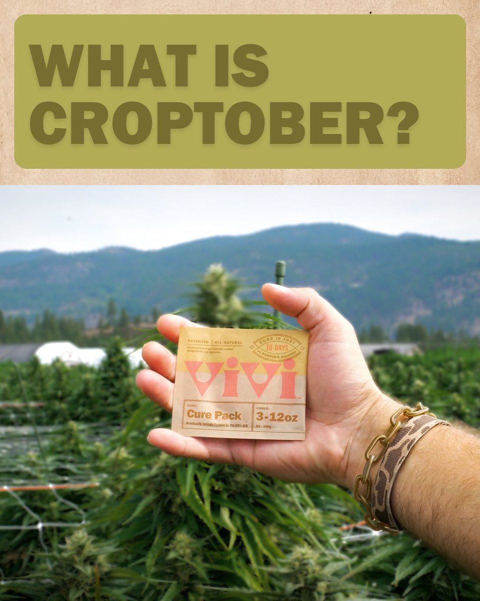 vivipacks_'s tweet image. Croptober is here! Protect your harvest: Use Vivi Cure and cure in 10, burp-free days, and Vivi Fresh to lock in the good stuff.
#Vivi #humiditycontrol #Croptober #harvestseason #cultivation