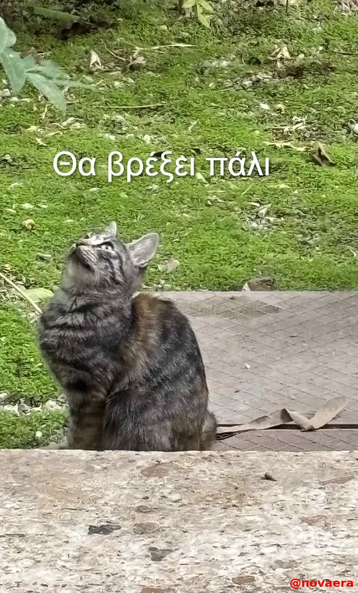 Καλημέρα! #fridaymorning #GoodMorningEveryone