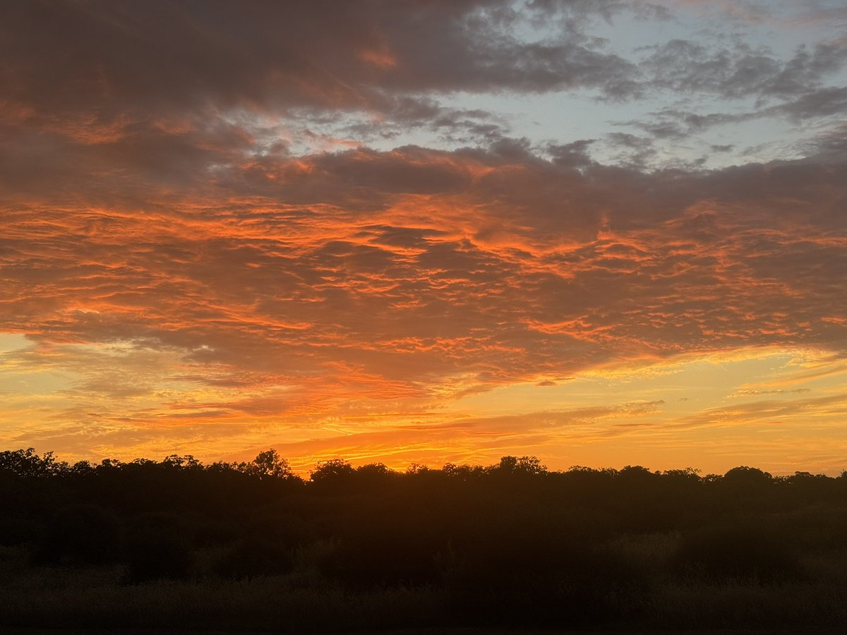 Last evening’s splendid October sunset 🌅 &amp; Vite Colte 'La Malora' Langhe 2020 Nebbiolo 🍇 Piedmont 🇮🇹 wine 🍷 notes 📝: a 3 course meal: crisp &amp; fruity, then in the middle rich like a savory main course, but in the end dark cherry &amp; silky texture like a dessert #delicious 😋
