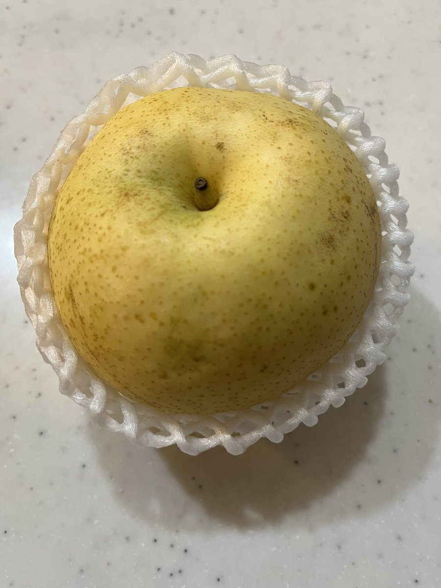 CekdU7HSfO09D74's tweet image. おやつの時間
こんばんは😊
北九州の今は晴れ。
月がきれいで澄んだ空です。
今日のおやつは梨。
洋梨を逆さにしたような形。上から見ると普通の梨ですが、下から見ると洋梨のよう。
香りが良く甘い💕
兄が実家に送ったもののお裾分けです。
インスタでよく見る食べやすいカット。
食べやすいよ〜。