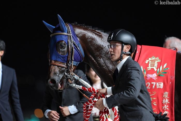 シオン　BRUNO ホワイト BROOKS、lovell付　熊本県手渡し 楽天市場】【セール30％OFF】【国内正規品】 BROOKS HERITAGE