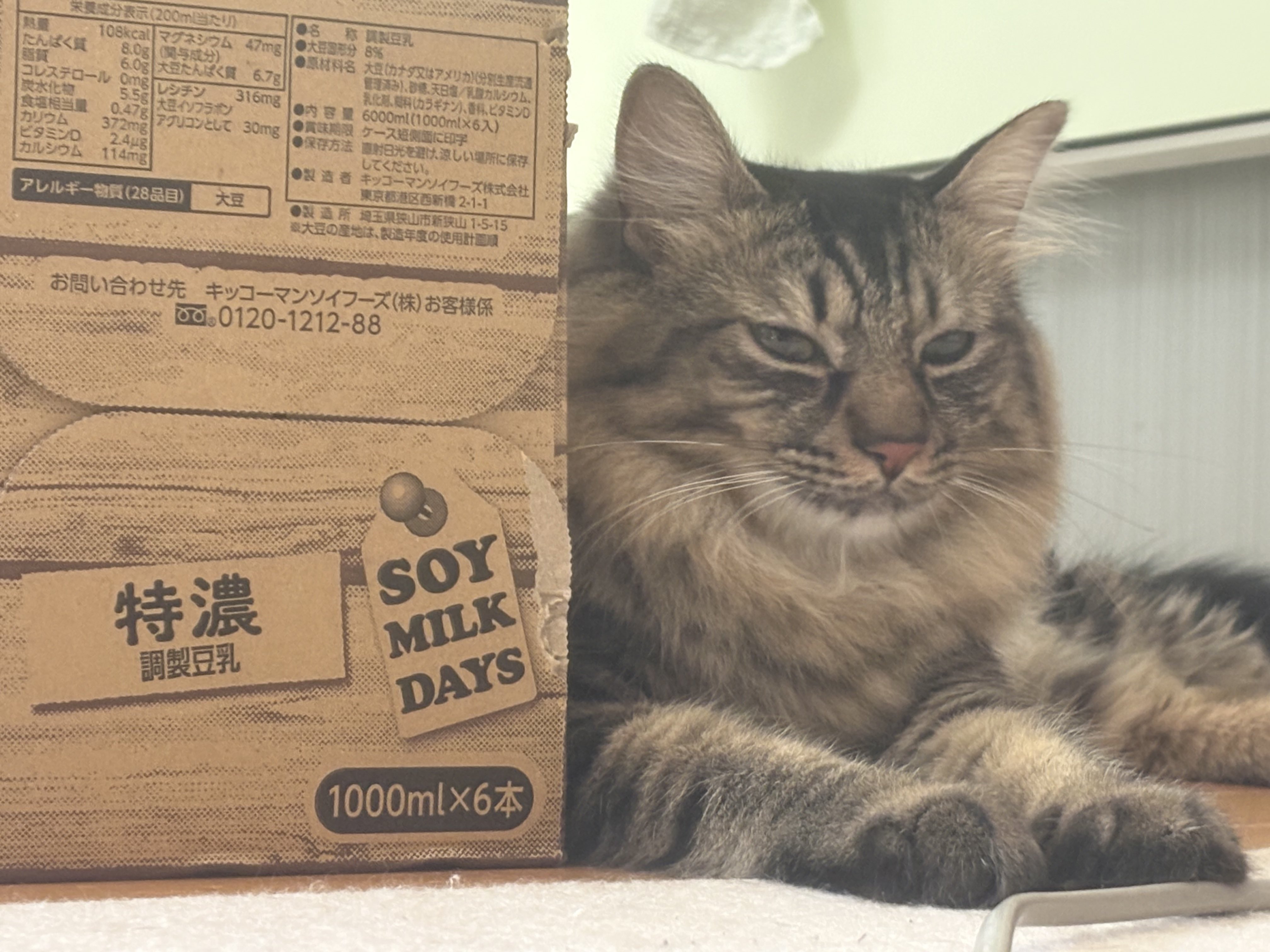 じた (@neko4t) / X