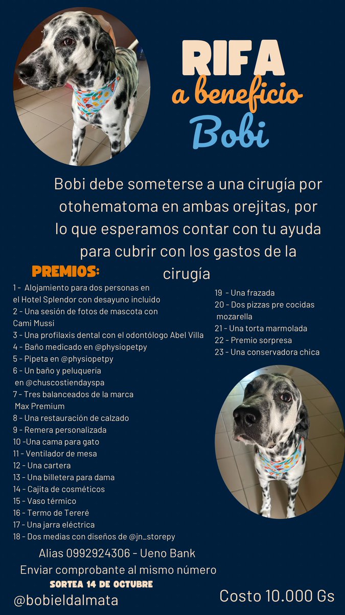 Rifa solidaria para mi Bobi, necesita una cirugía y toda ayuda o difusión suma❤️🙏🏼