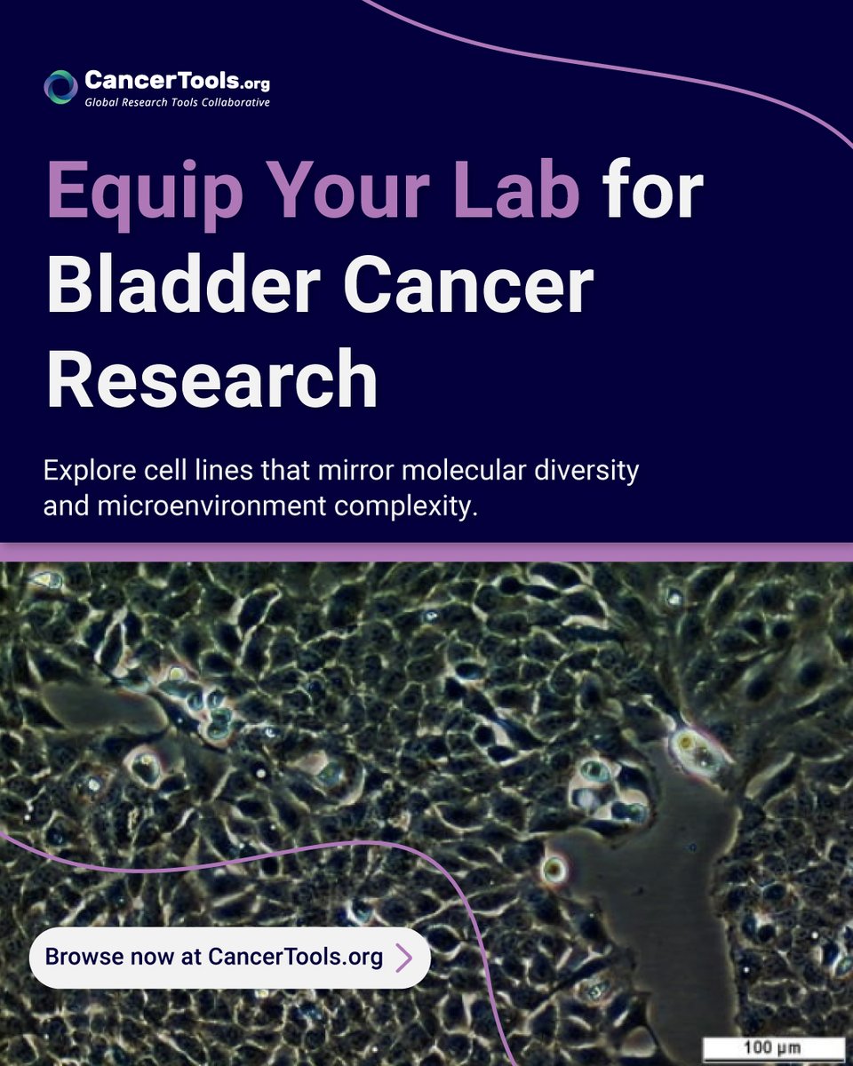 CancerToolsOrg's tweet image. 🔬 Ready to capture the complexity of #BladderCancer in your lab?

Its molecular diversity and dynamic tumour microenvironment make translational research challenging.

🧬 At CancerTools.org (@CancerToolsOrg), a non-profit #biorepository offers curated bladder cancer cell…