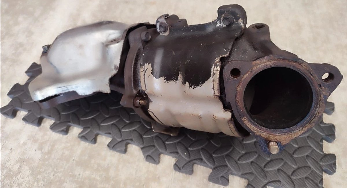 Matthew Hayward tweet media