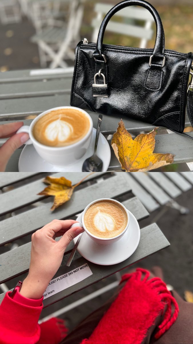 Polly_Dangerous's tweet photo. Autumn’25 https://t.co/mS0bPYwLiU