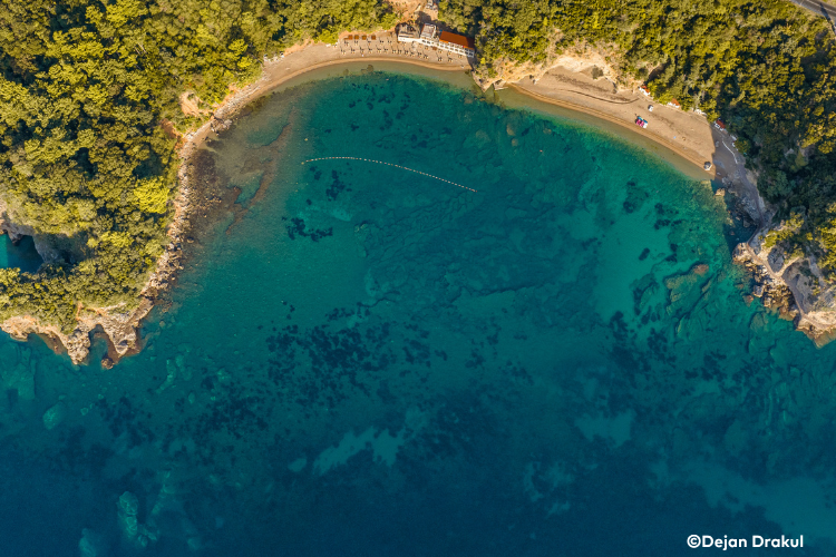 Travel Quotidiano tweet media