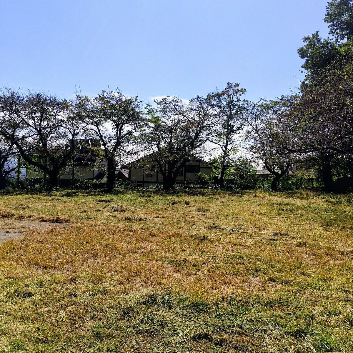 coccoro2021's tweet photo. 共用場所の草刈りに続き、松本���公園緑地課管理の公園も、草が伸び放題だったためボランティアで草刈り。刈り倒しなので見た目はすっきりしませんが、数日で土に還るでしょう。あわせて、ごみ広いも。
#松本市 #草刈り #ボランティア #公園整備 #地域活動 #環境美化 #学びのこっころ #草木のこっころ https://t.co/acIhSZrOrK