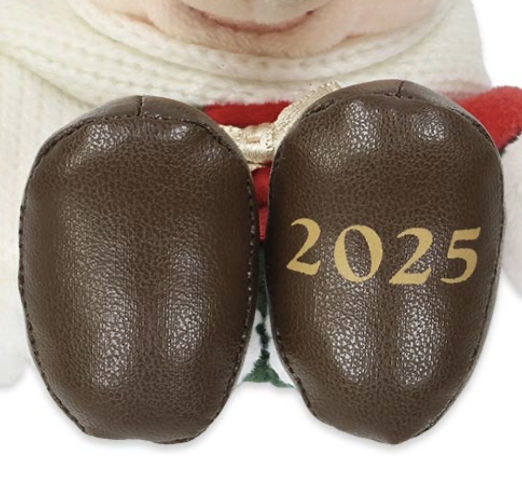 tatsu🌊🏄‍♂️🍹🐬☀️🌴 tweet media