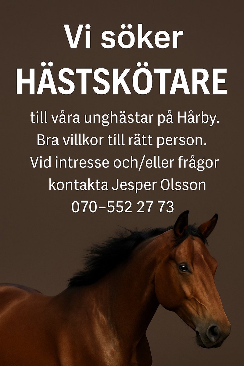 Srf Stable (@srfstable) on Twitter photo 