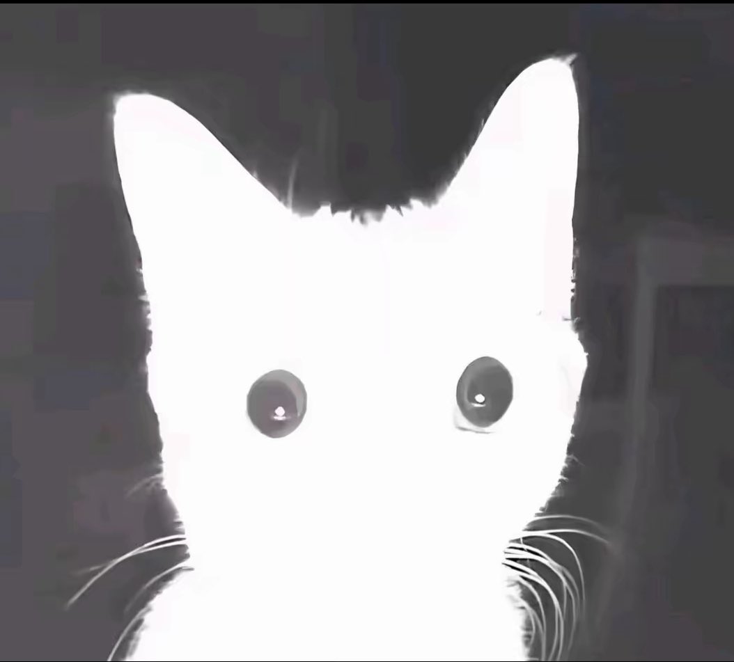 Mathéo coco tweet media