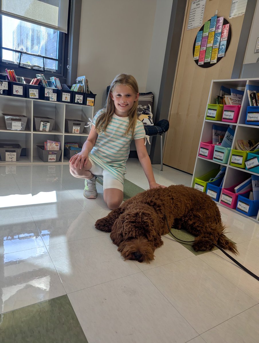 TewksburyPD's tweet photo. 👮‍♂️🐶 Classroom Visits with Officer Pancake! 📚💙

Today was extra special as our furry officer, Officer Pancake, made his way through the halls with  SRO Casino, spreading love, calm, and a whole lot of tail wags. 💛🐾

#TherapyDogWednesday #OfficerPancake #FurrySupport #SROVisits #DogInTheHalls #KindnessOnLeash 

TPD126