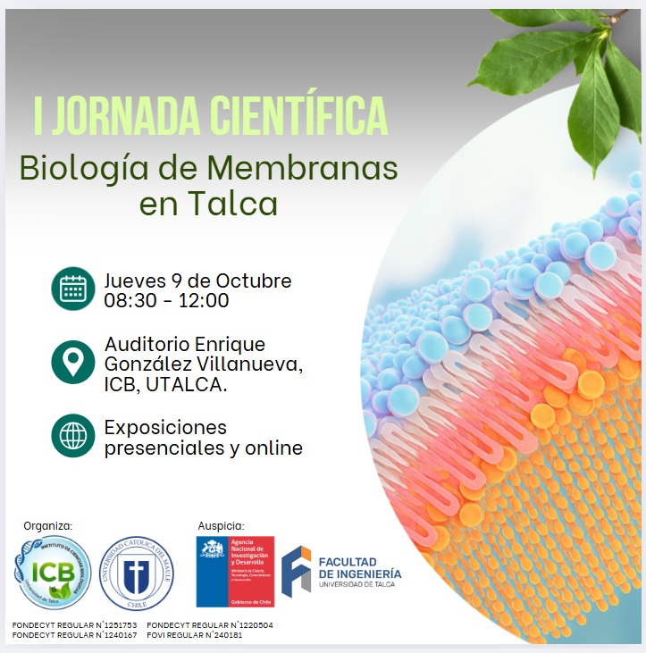 CBSM UTalca tweet media